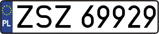 ZSZ69929
