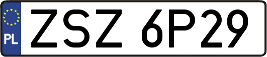 ZSZ6P29