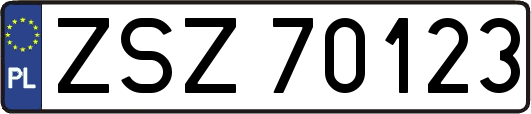 ZSZ70123