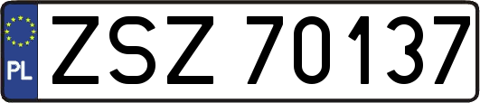 ZSZ70137