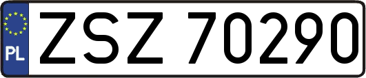 ZSZ70290