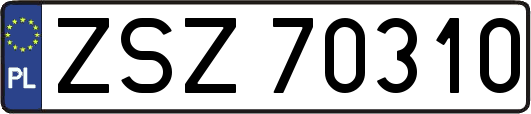 ZSZ70310