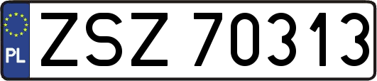 ZSZ70313