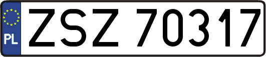ZSZ70317