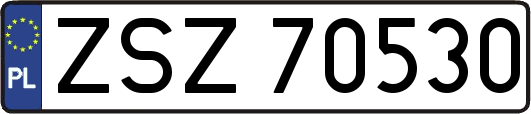 ZSZ70530