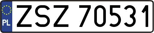 ZSZ70531
