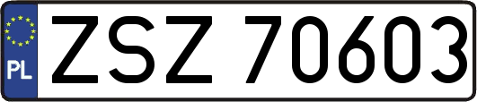 ZSZ70603