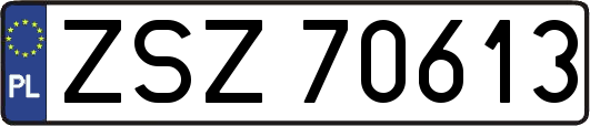 ZSZ70613