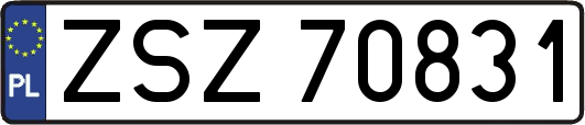 ZSZ70831