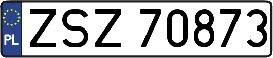 ZSZ70873