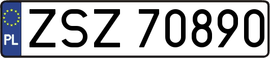 ZSZ70890