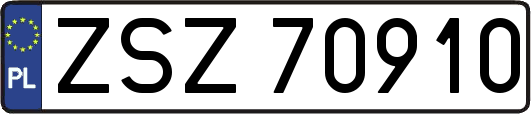 ZSZ70910