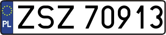 ZSZ70913