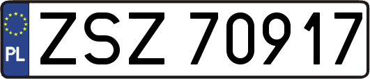 ZSZ70917