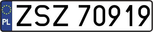 ZSZ70919
