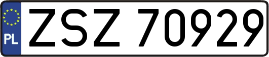 ZSZ70929