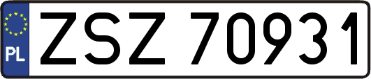 ZSZ70931