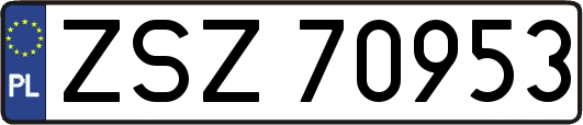ZSZ70953