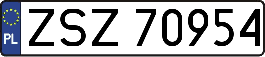 ZSZ70954