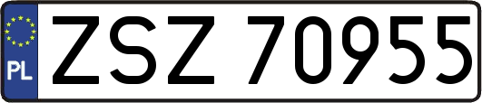 ZSZ70955