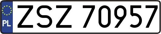 ZSZ70957
