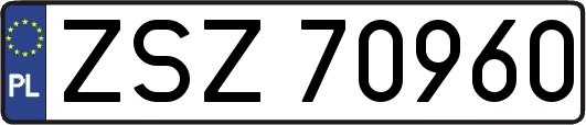 ZSZ70960