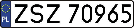 ZSZ70965