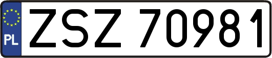 ZSZ70981