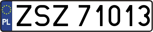 ZSZ71013