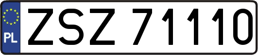 ZSZ71110