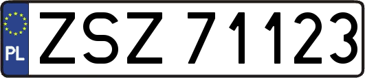 ZSZ71123