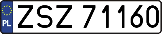 ZSZ71160