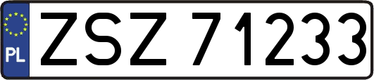 ZSZ71233