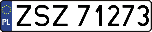 ZSZ71273