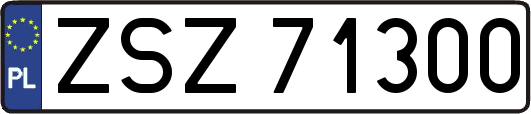 ZSZ71300