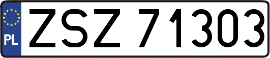 ZSZ71303