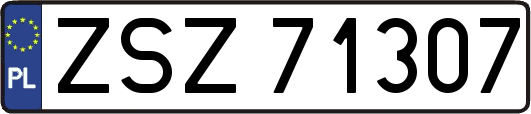 ZSZ71307