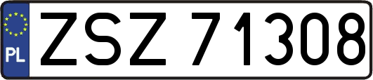 ZSZ71308