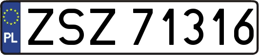 ZSZ71316