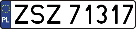 ZSZ71317