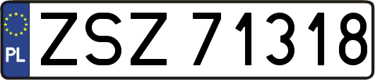 ZSZ71318