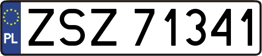 ZSZ71341