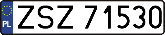 ZSZ71530