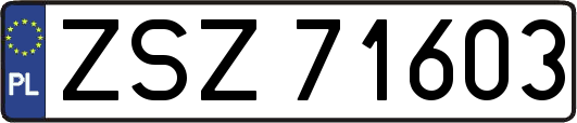 ZSZ71603