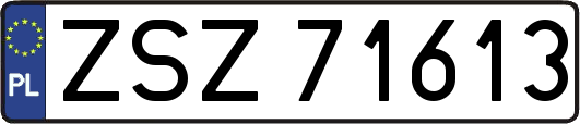 ZSZ71613