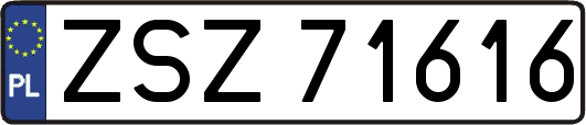 ZSZ71616