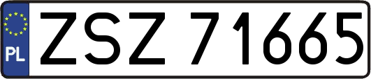 ZSZ71665