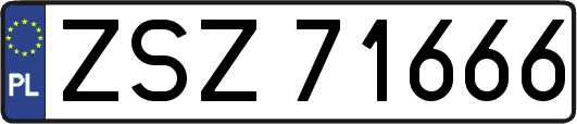 ZSZ71666