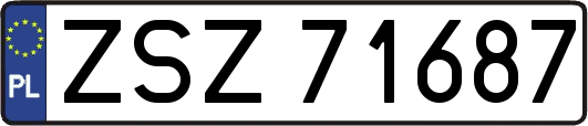 ZSZ71687
