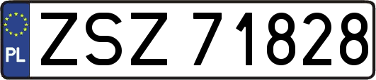 ZSZ71828